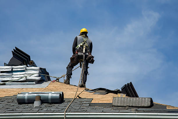 Professional Roofing technician working in Montpelier, IA